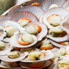 Scallop 1/2 Shell with Roe - Meat Mekanik