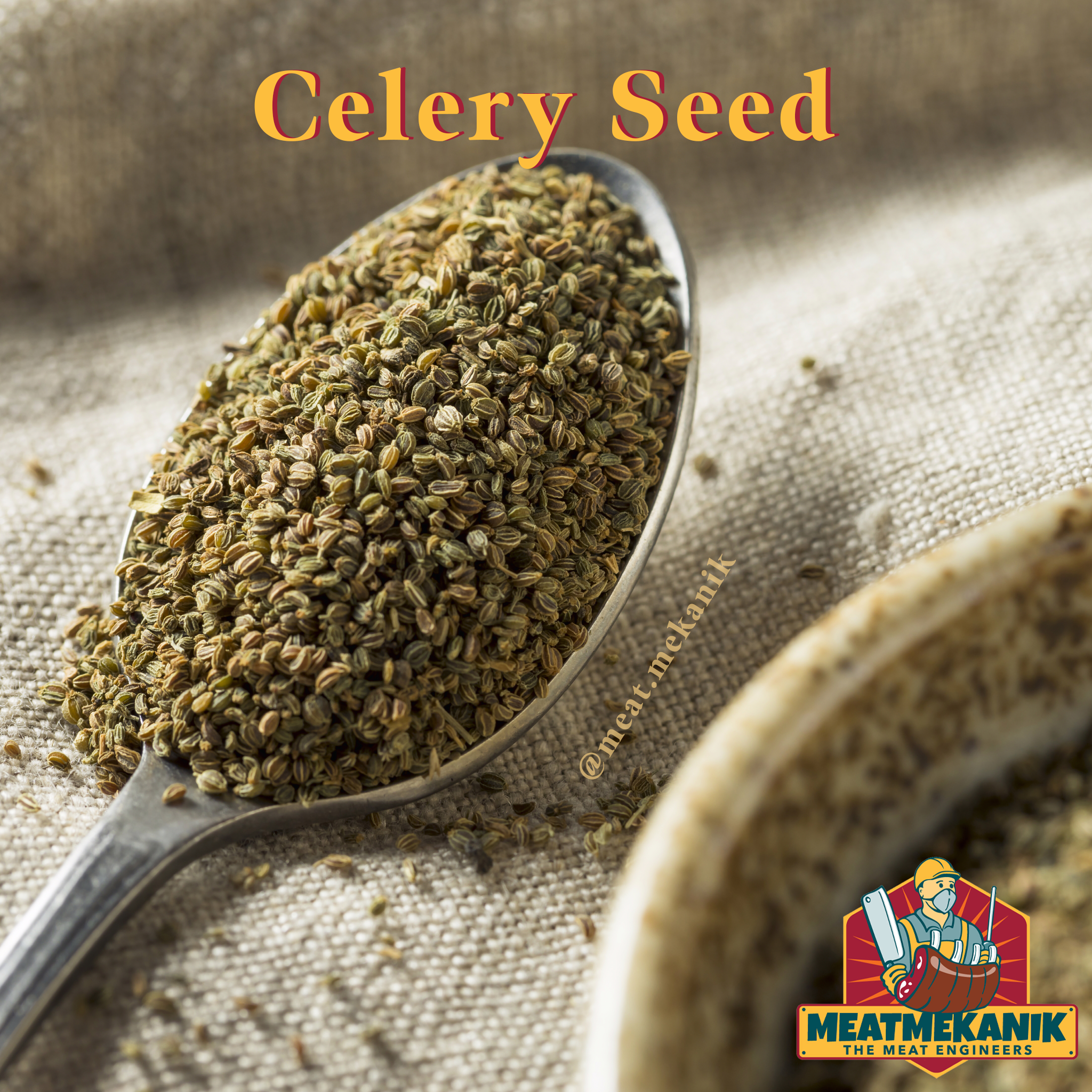 Celery Seed - Meat Mekanik